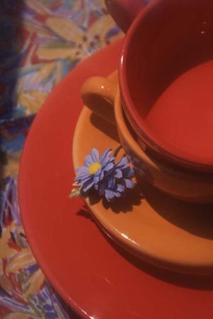レンタルGPSのレンタくんの紹介です